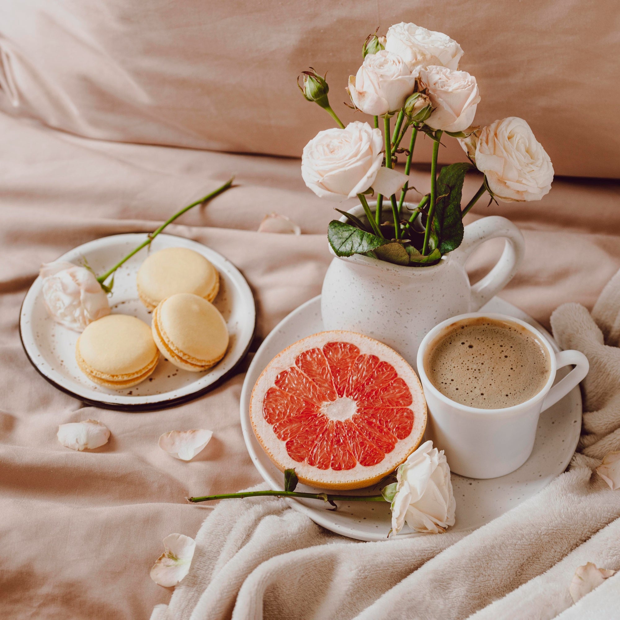 The Journey of Coffee: From Bean to Cup